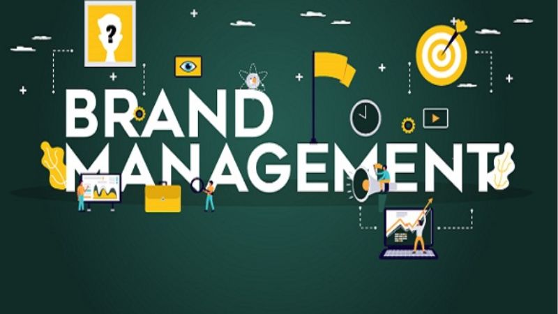 Brand Management – 11 Nguyên Tắc Quản Trị Thương Hiệu Thành Công